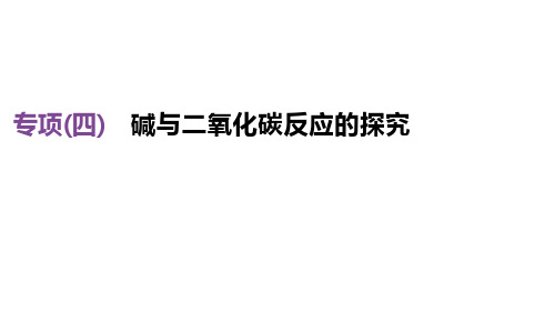 2019中考化学复习方案专项突破课件专项04 碱与二氧化碳反应的探究