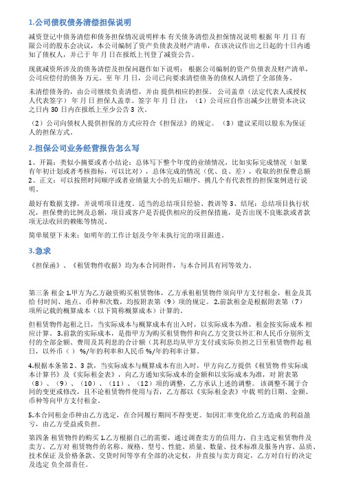 融资担保公司担保情况说明范文