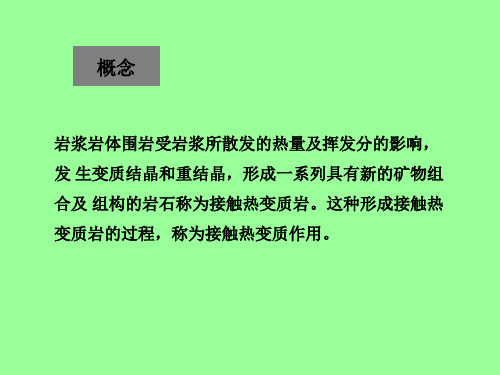 变质地质课件之接触热变质岩