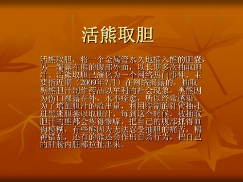 活熊取胆