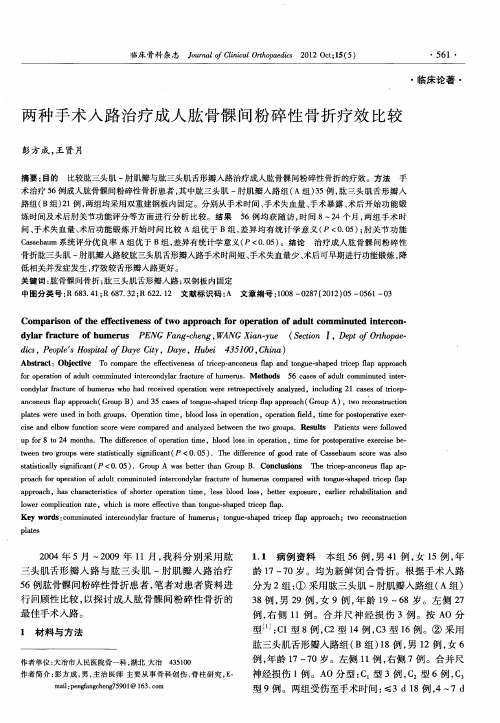两种手术入路治疗成人肱骨髁间粉碎性骨折疗效比较