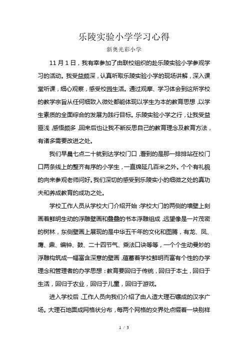 乐陵实验小学学习心得