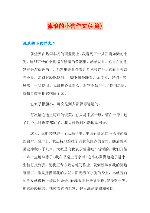 流浪的小狗作文(4篇)
