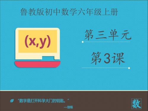 最新审定鲁教版数学六年级上册《3.3整式》(优秀课件)