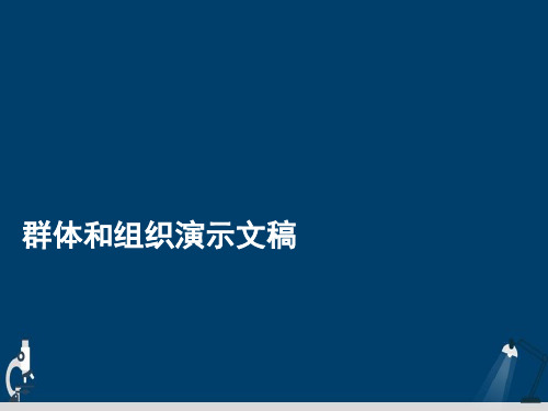 群体和组织演示文稿