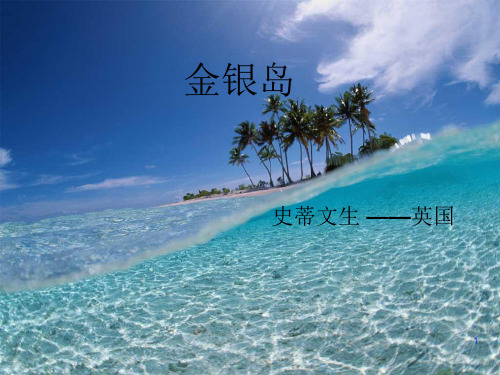 金银岛ppt课件