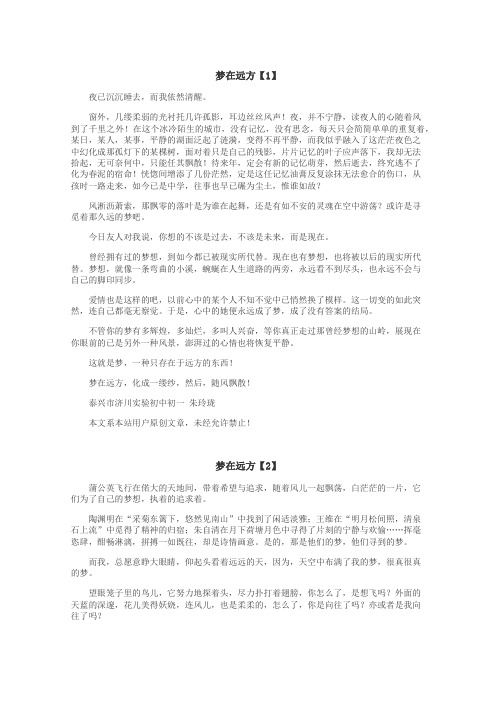 梦在远方作文
