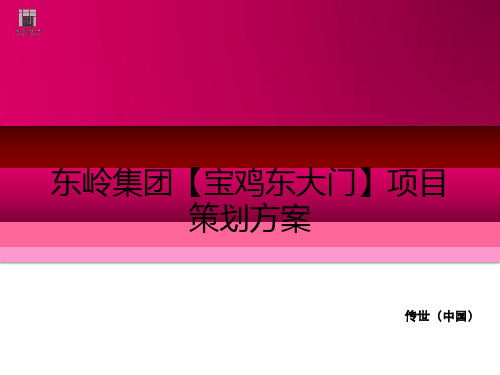 东岭集团【宝鸡东大门】项目策划方案