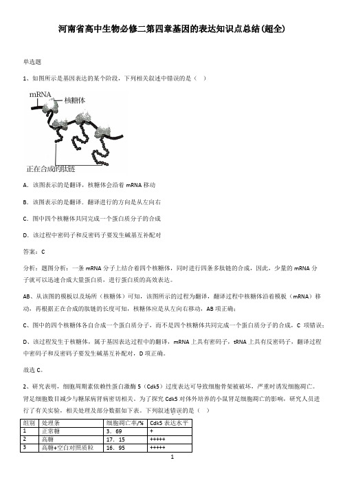 河南省高中生物必修二第四章基因的表达知识点总结(超全)