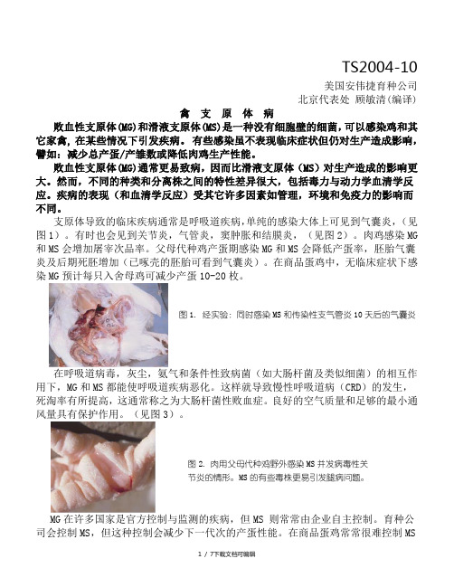 禽支原体病
