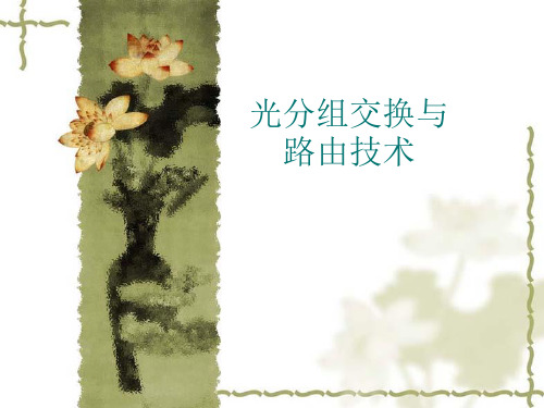 光分组交换与路由技术