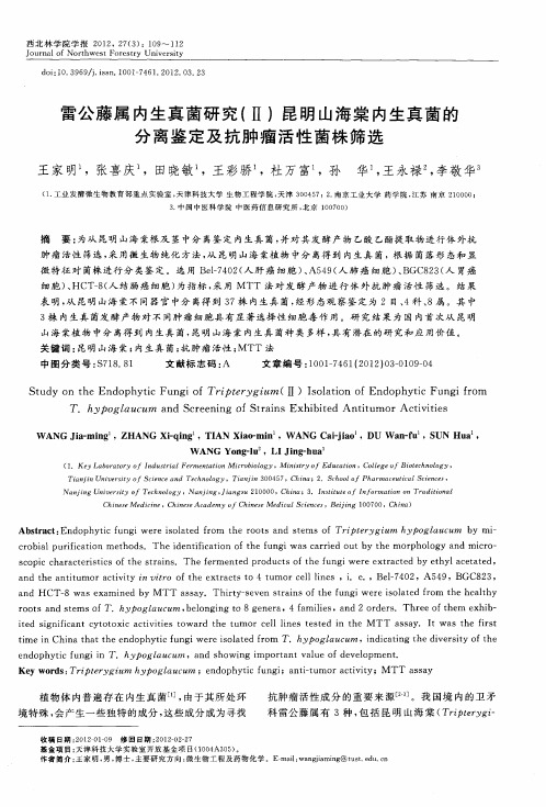 雷公藤属内生真菌研究(Ⅱ)昆明山海棠内生真菌的分离鉴定及抗肿瘤活性菌株筛选