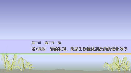 高中生物第三章细胞的代谢第三节酶第1课时名师公开课省级获奖课件浙科版必修
