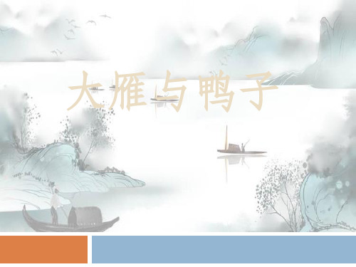 《大雁与鸭子》PPT演示课件