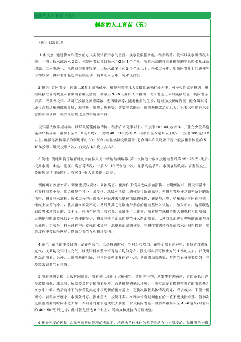 刺参的人工育苗5