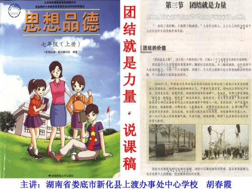 团结就是力量-说课演示(定稿)