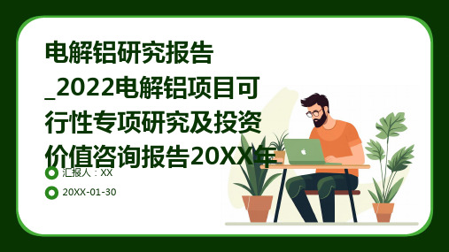 电解铝研究报告_2022电解铝项目可行性专项研究及投资价值咨询报告2024年