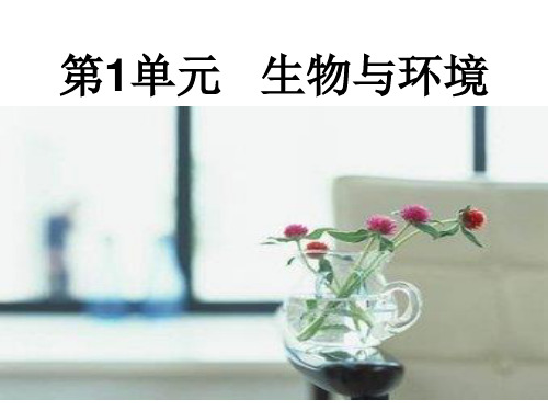 (六上)科学PPT课件一棵顽强的小树 湘科版(一起) (26张)