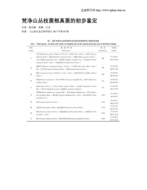 梵净山丛枝菌根真菌的初步鉴定