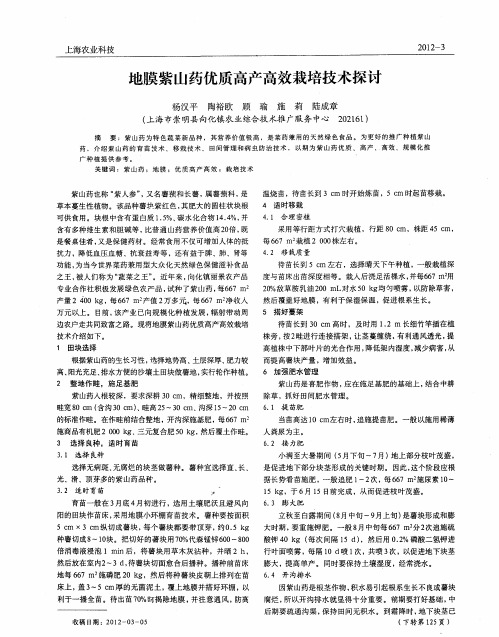 地膜紫山药优质高产高效栽培技术探讨