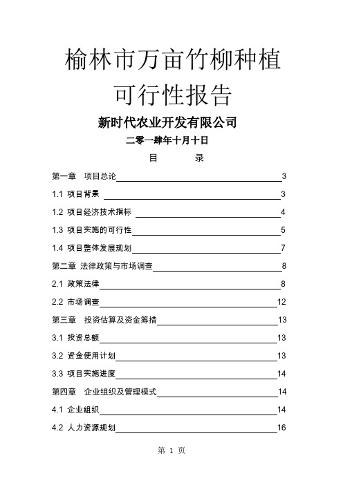 新时代农业万亩竹柳种植项目预可行研究报告24页word