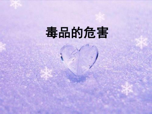 高中禁毒教案《毒品的危害》课件
