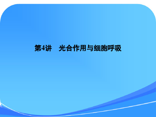 2012届高三生物二轮复习课件：2-4光合作用与细胞呼吸