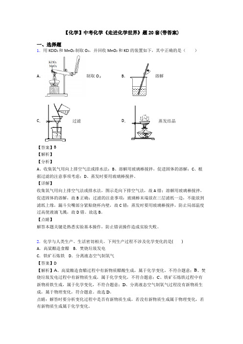 【化学】中考化学《走进化学世界》题20套(带答案)