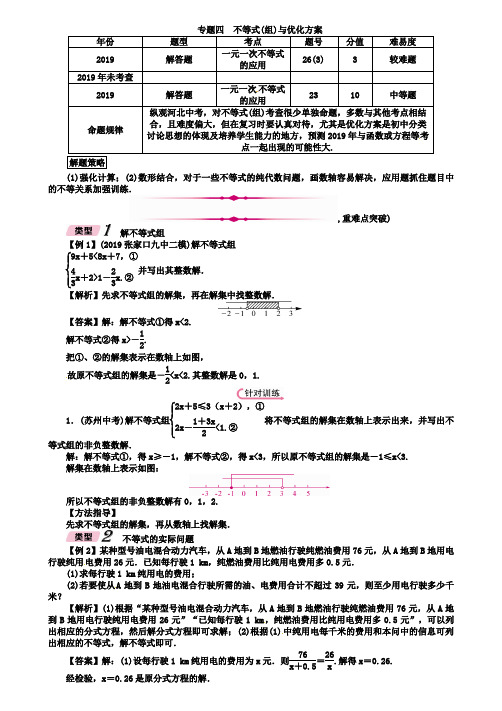 河北省2019年中考数学专题4不等式组与优化方案精讲试题