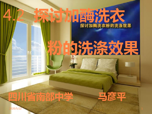 探讨加酶洗衣粉的洗涤效果ppt课件