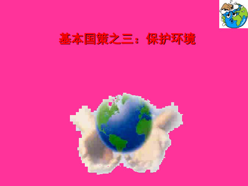 保护环境概述(PPT 32页)