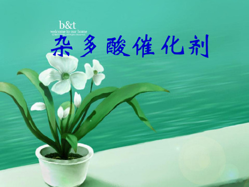 杂多酸催化剂(八)