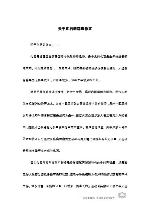 关于化石的精选作文