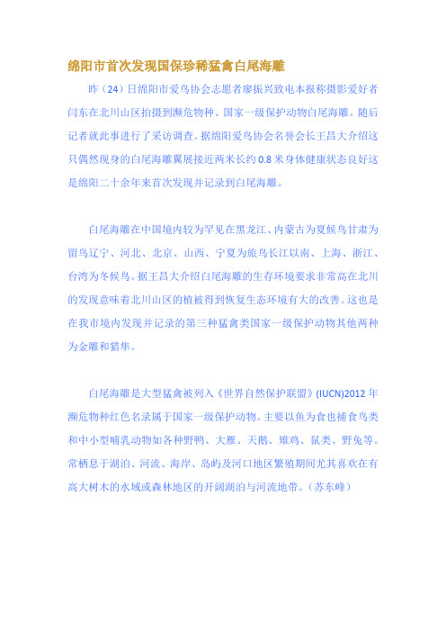 绵阳市首次发现国保珍稀猛禽白尾海雕