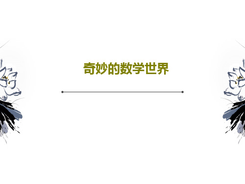 奇妙的数学世界PPT30页