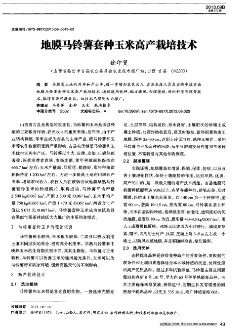 地膜马铃薯套种玉米高产栽培技术