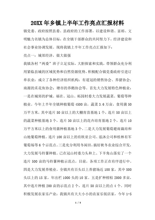 2019年乡镇上半年工作亮点汇报材料