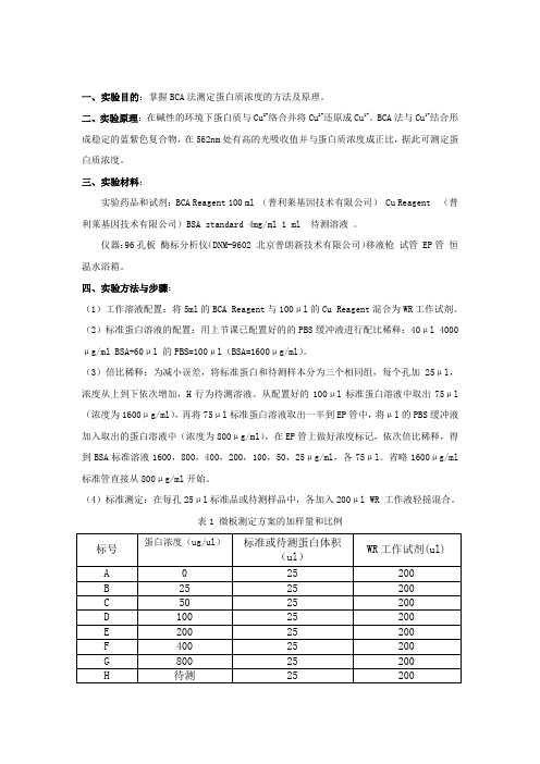 BCA实验报告