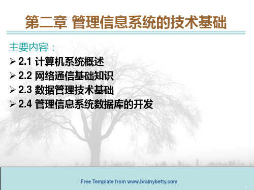 第二章 管理信息系统的技术基础PPT课件