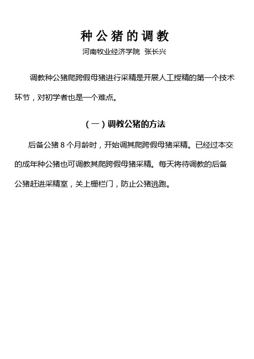 种公猪的调教