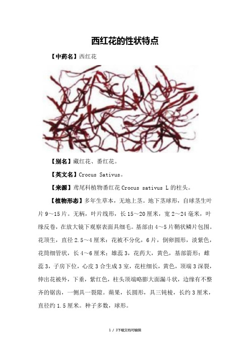 西红花的性状特点