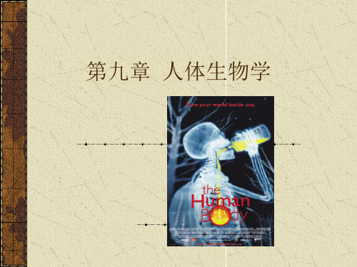 第章人体生物学第四节体液循环系统