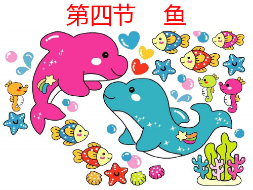 初中生物：鱼类