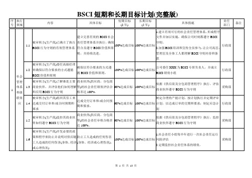 BSCI短期和长期目标计划(完整版)1