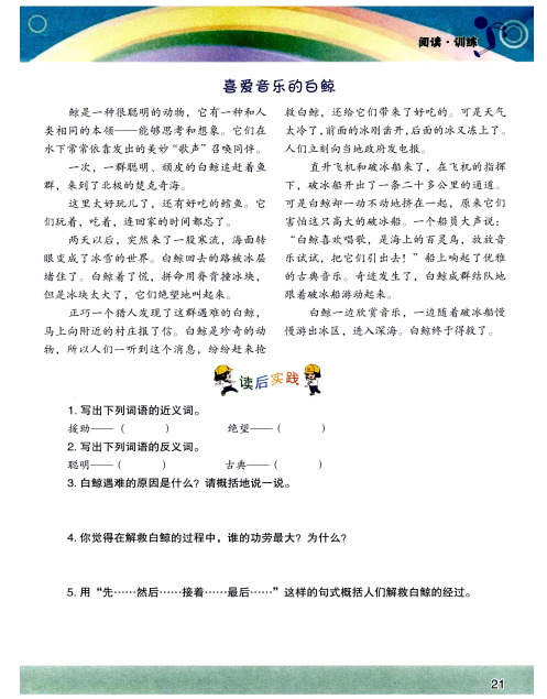 喜爱音乐的白鲸