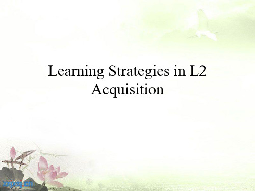 Learning Strategies 学习策略 语言学