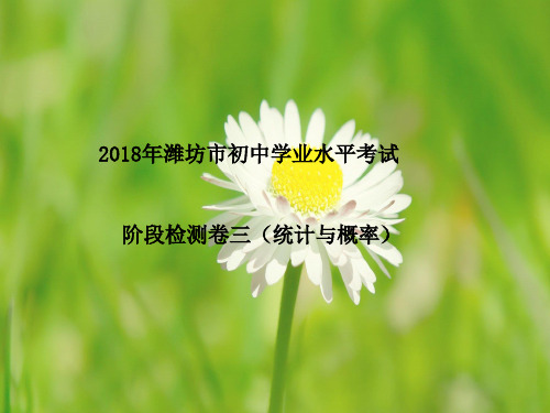 中考数学复习阶段检测卷(三)课件2115