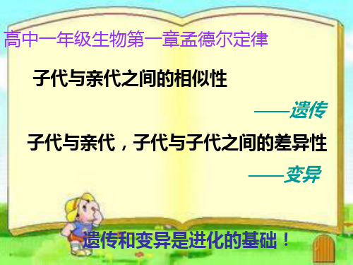 最新高一生物第一章孟德尔定律