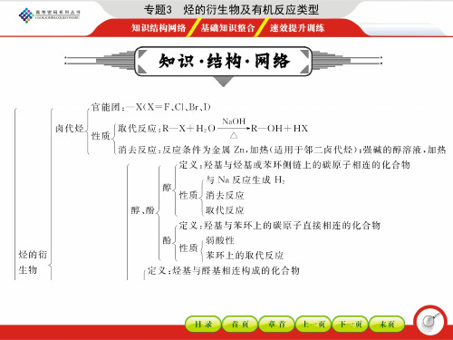 专题3 烃的衍生物及有机反应类型
