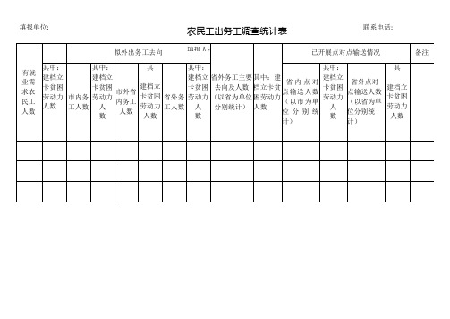 农民工出务工调查统计表